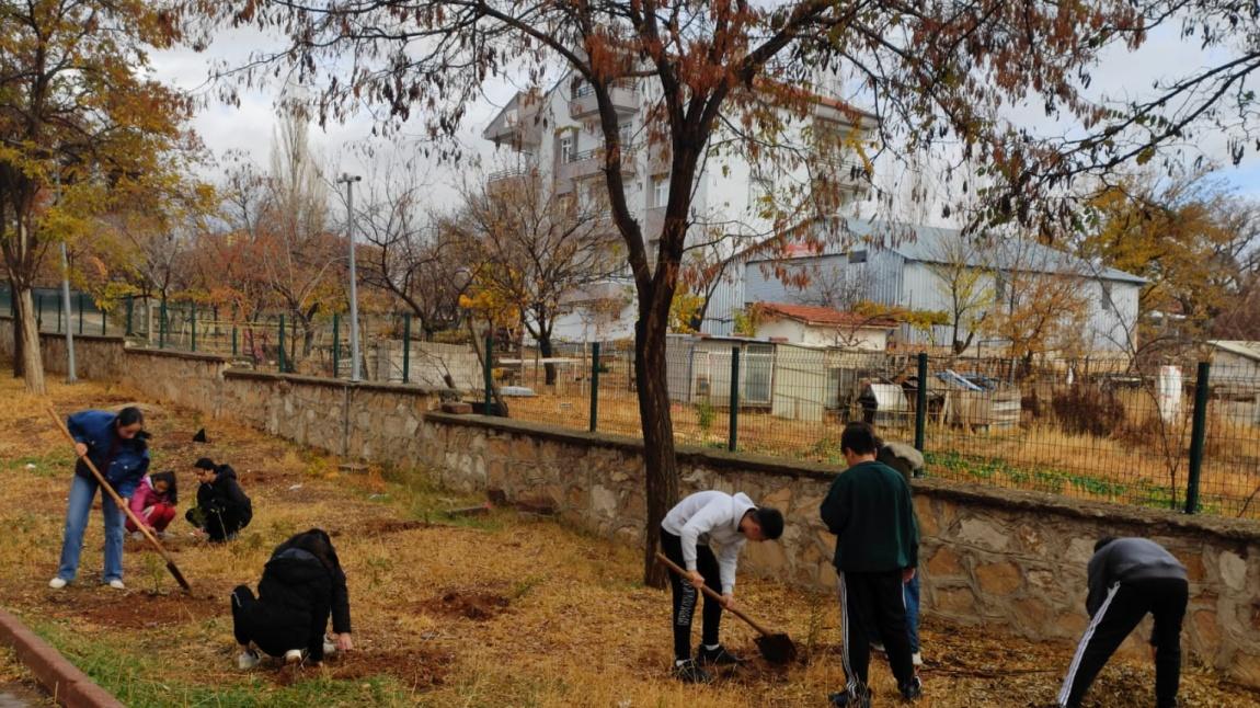 24 Kasım Öğretmenler Günü Ağaç Dikme Etkinliği 